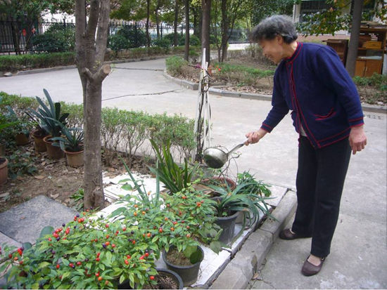 南京:清江花苑让低碳生活进入寻常百姓家